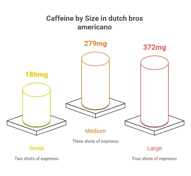 Dutch Bros Americano Review – Strong Yet Smooth Choice 3 Caffeine by Size in dutch bros americano